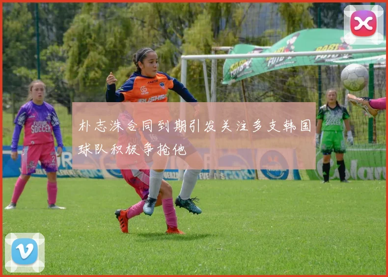 朴志洙合同到期引发关注多支韩国球队积极争抢他