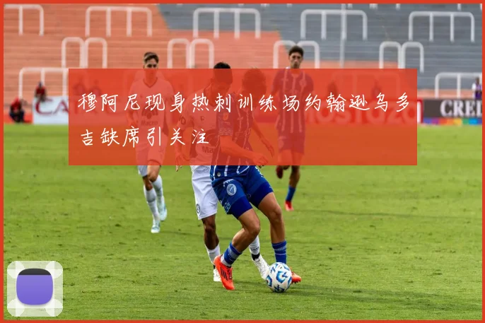 穆阿尼现身热刺训练场约翰逊乌多吉缺席引关注