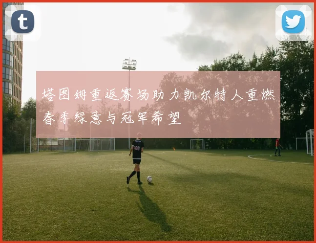 塔图姆重返赛场助力凯尔特人重燃春季绿意与冠军希望