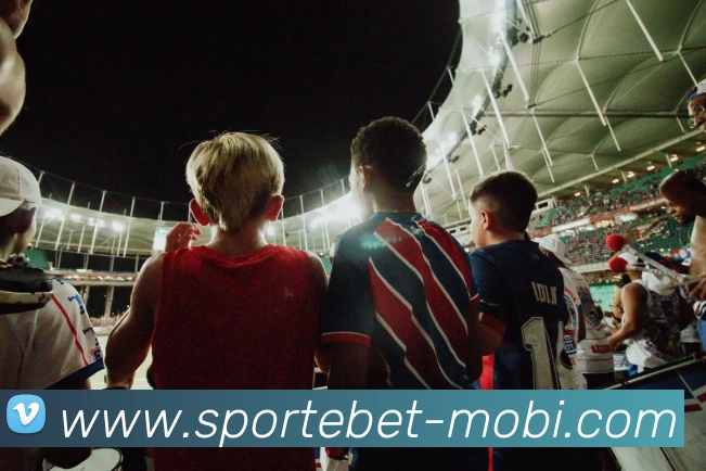 易倍体育平台生态图